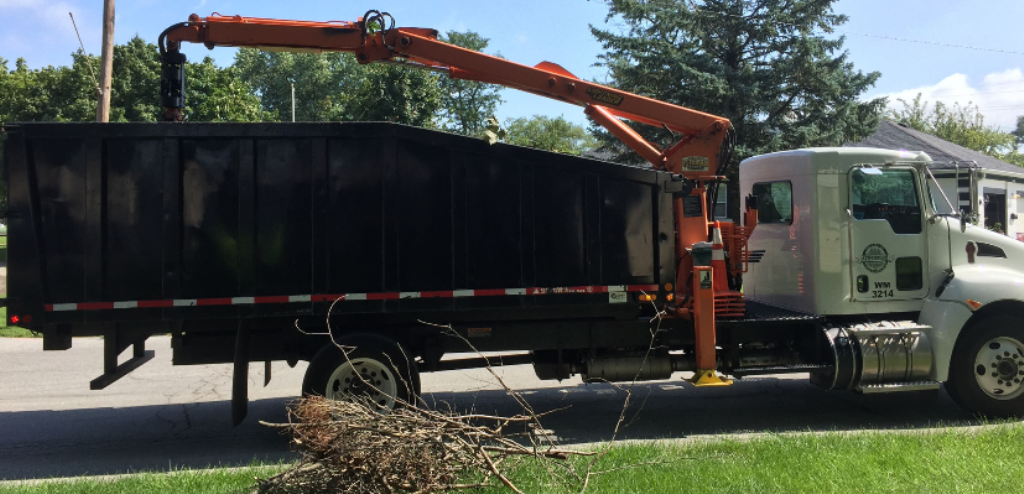 Leaf and Limb Pickup