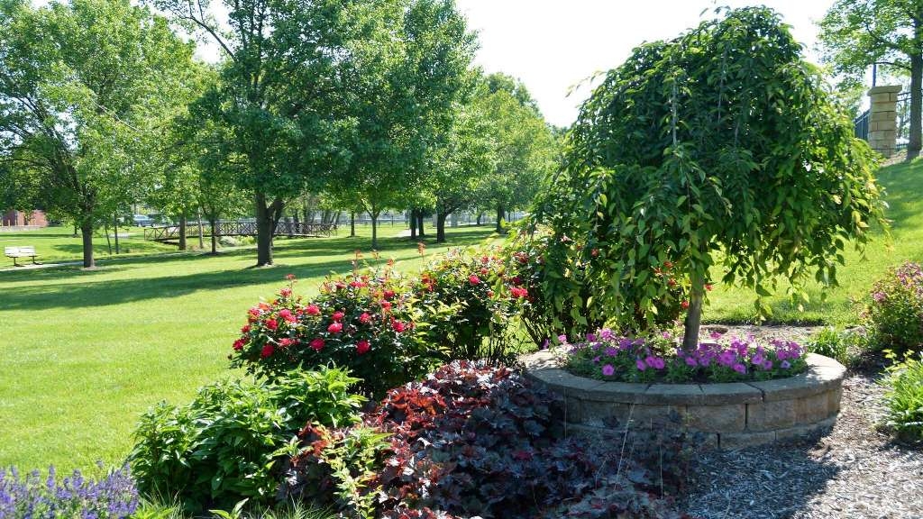 Plants-at-the-Amphitheater-2019-SOC-46